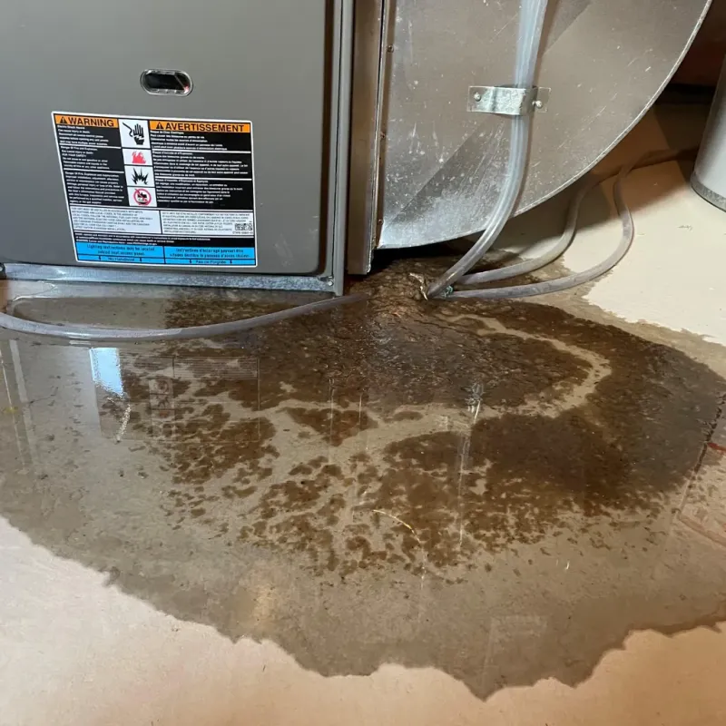 Appliance Leak Cleanup in Charlotte Court House, VA