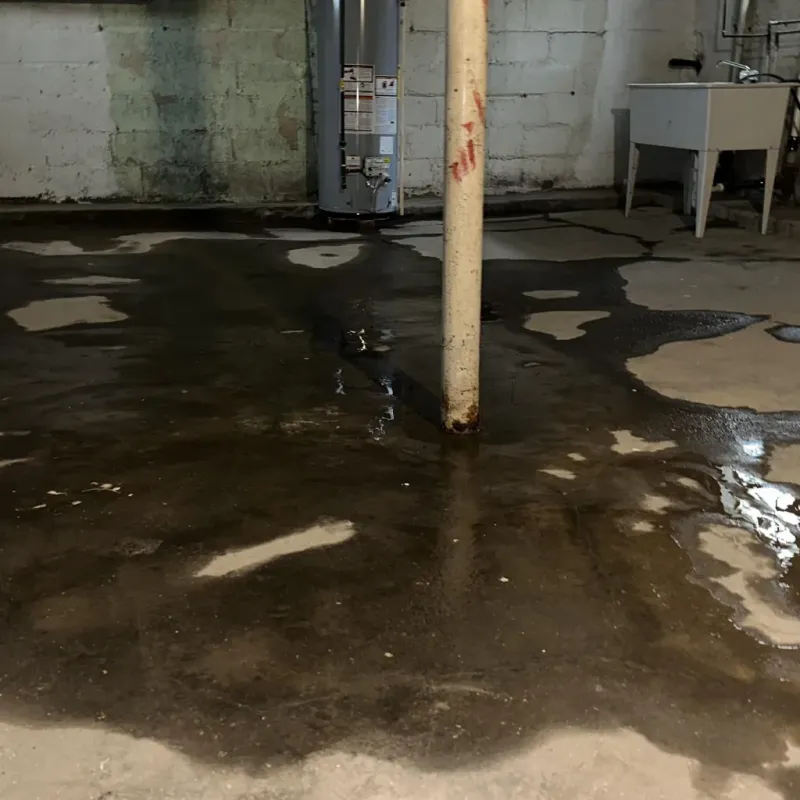 Emergency Water Extraction And Removal in Charlotte Court House, VA